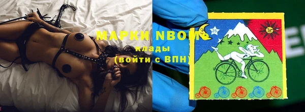 прущие грибы Абдулино